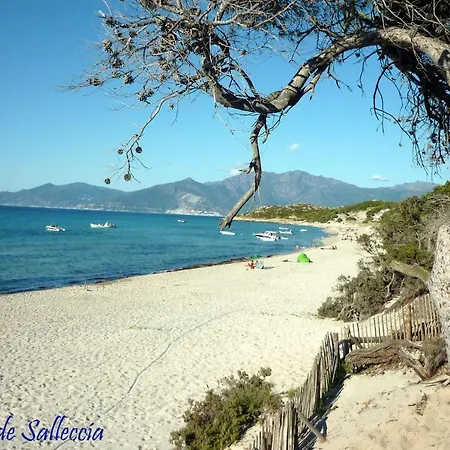 Chez Jeannette Bed & Breakfast Patrimonio